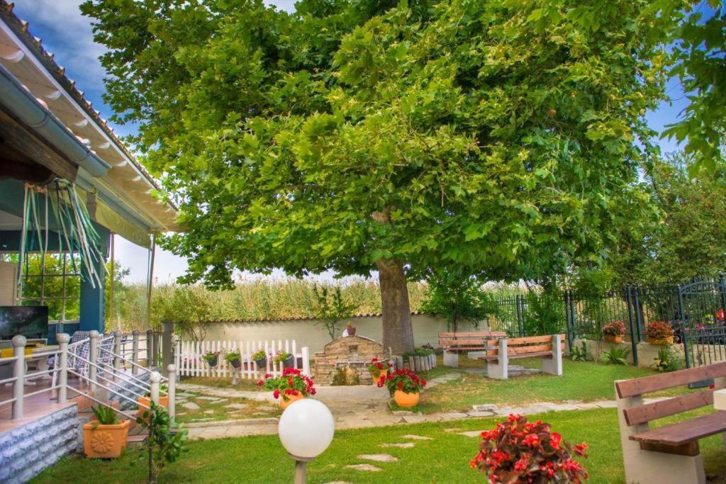 Seaside Cottage Paralía Dış mekan fotoğraf